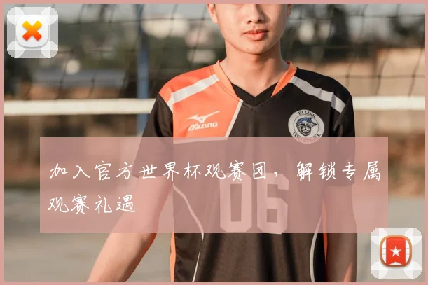 加入官方世界杯观赛团，解锁专属观赛礼遇