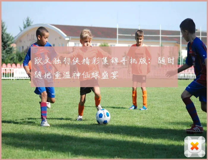 欧文独行侠精彩集锦手机版：随时随地重温神仙球盛宴