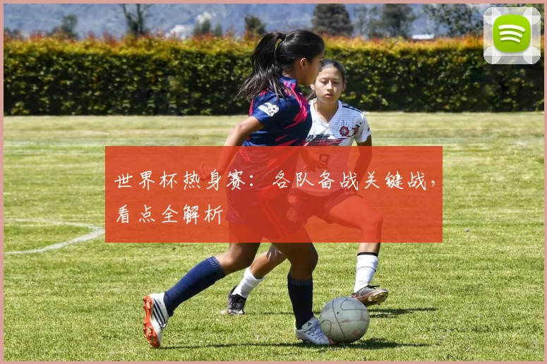 世界杯热身赛：各队备战关键战，看点全解析