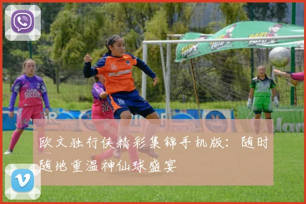 欧文独行侠精彩集锦手机版:随时随地重温神仙球盛宴